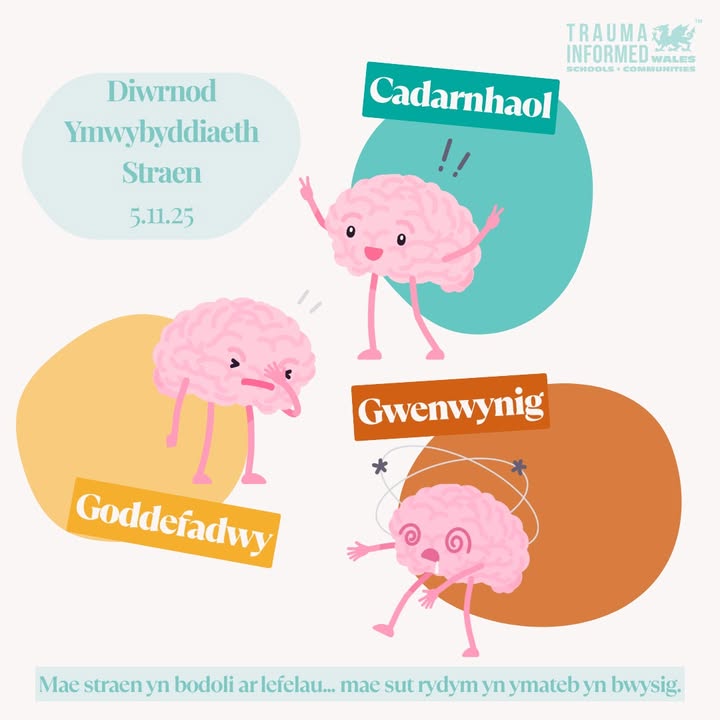 Stress Awareness Day 🧠