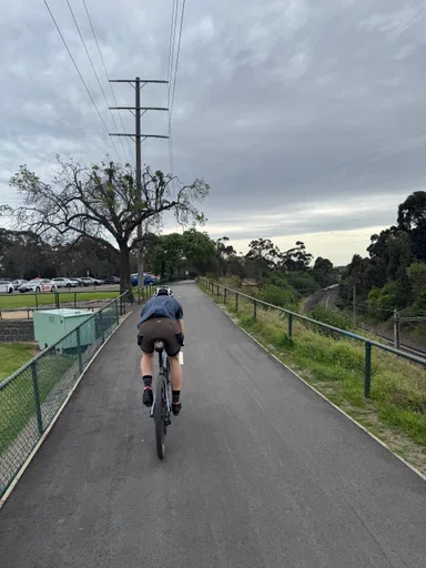 The shared path through Royal Park