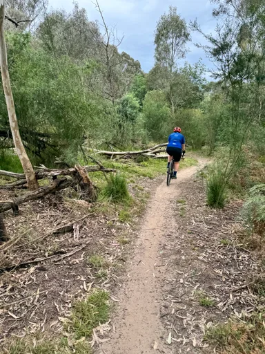 Pettys Orchard · 31.8 km
