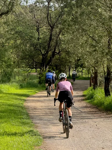 The wooded river trail near Templestowe