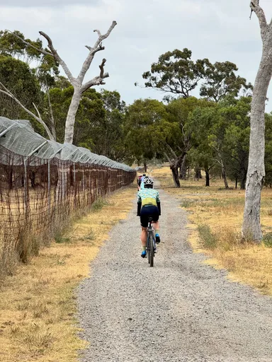A quiet gravel track through Woodlands Historic Park