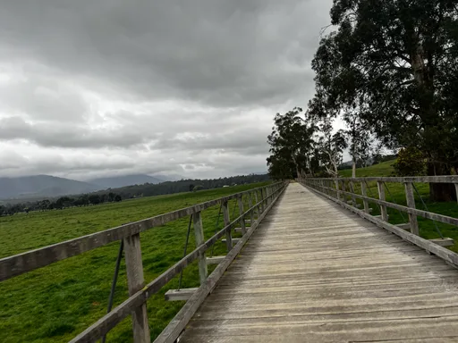 Warburton Rail Trail · 20.0 km