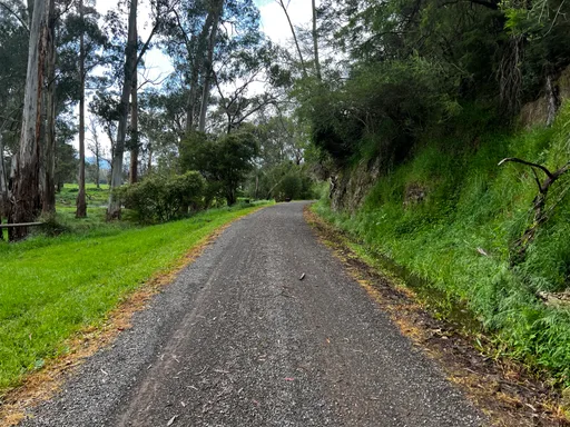 Warburton Rail Trail · 24.9 km