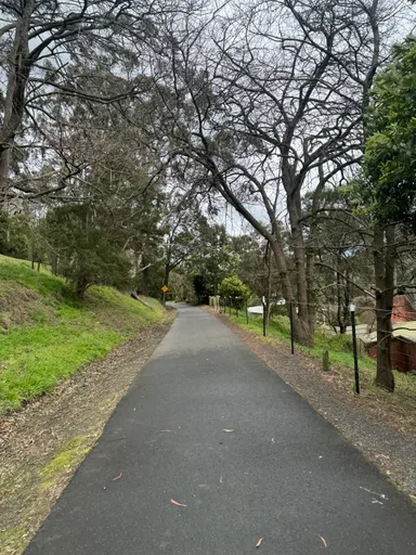 Warburton Rail Trail · 38.6 km
