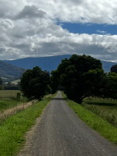Warburton Rail Trail · 23.3 km
