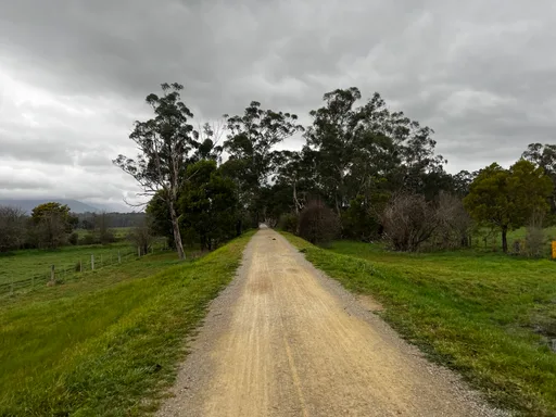 Warburton Rail Trail · 19.9 km