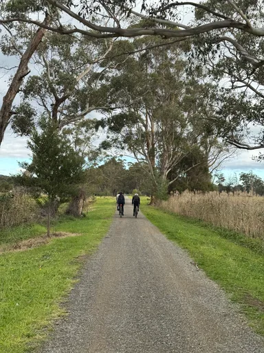 Warburton Rail Trail · 35.0 km
