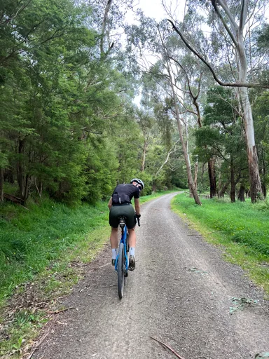 Warburton Rail Trail · 25.2 km
