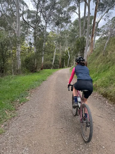 Warburton Rail Trail · 31.1 km