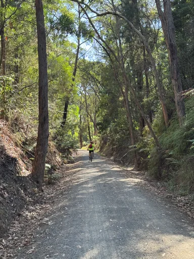 Warburton Rail Trail · 7.7 km