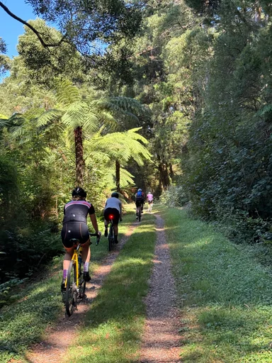 O'Shannassy Aqueduct Trail