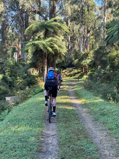 O'Shannassy Aqueduct Trail