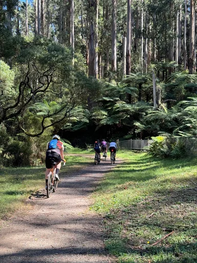 O'Shannassy Aqueduct Trail