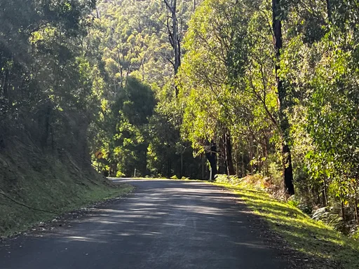 Humevale Climb Loop from Mernda Station · 18.2 km
