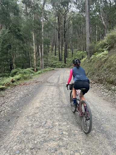 Warburton South Gravel Loop photo 3