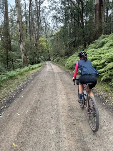 Warburton South Gravel Loop photo 6
