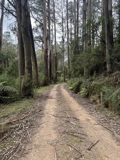 Warburton South Gravel Loop photo 7