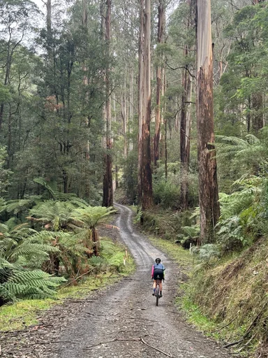 Warburton South Gravel Loop photo 8