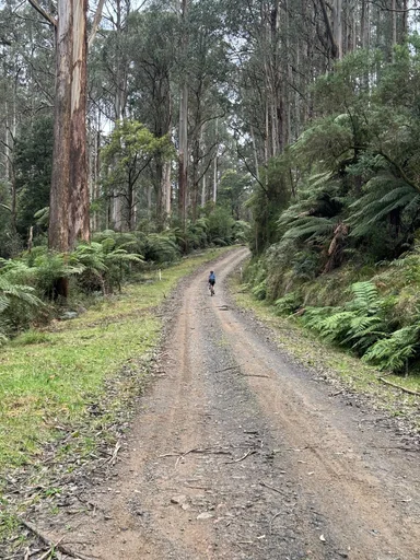 Warburton South Gravel Loop photo 9