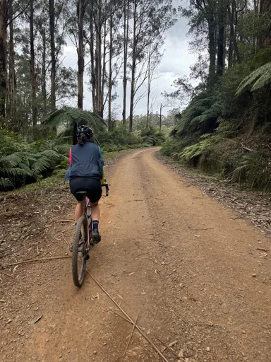 Warburton South Gravel Loop photo 10