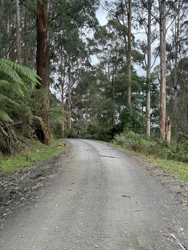 Warburton South Gravel Loop photo 18