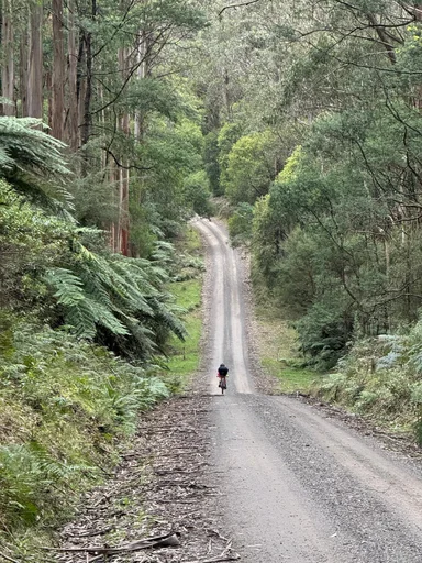 Warburton South Gravel Loop photo 1