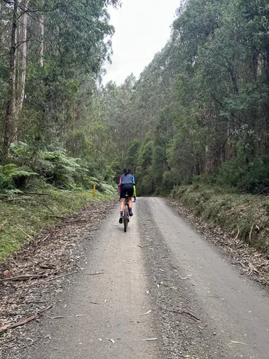 Warburton South Gravel Loop photo 11