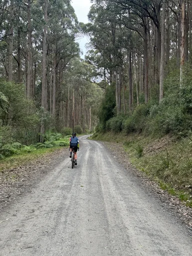 Warburton South Gravel Loop photo 13