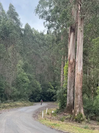 Warburton South Gravel Loop photo 14