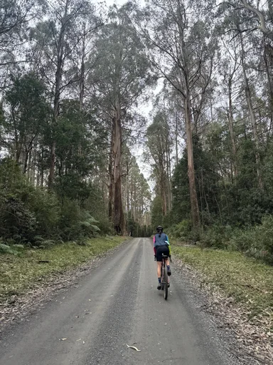 Warburton South Gravel Loop photo 19