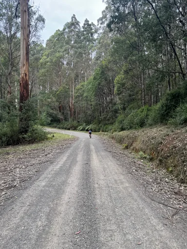 Warburton South Gravel Loop photo 15