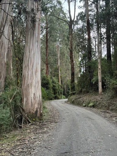 Warburton South Gravel Loop photo 20