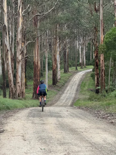 Warburton South Gravel Loop photo 16