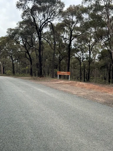 Heathcote State Forests Loop photo 20
