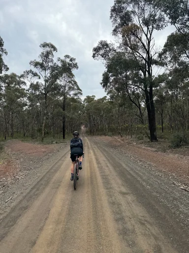 Heathcote State Forests Loop photo 17