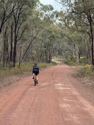 Heathcote State Forests Loop photo 15