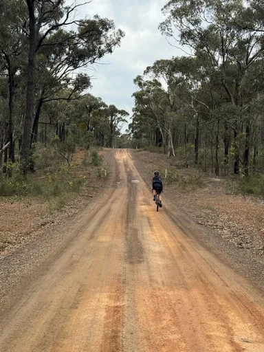 Heathcote State Forests Loop photo 14