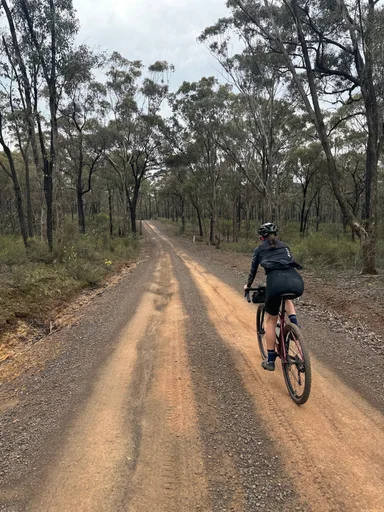 Heathcote State Forests Loop photo 13