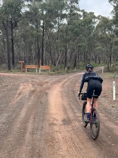 Heathcote State Forests Loop photo 12