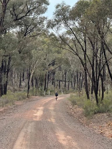 Heathcote State Forests Loop photo 11