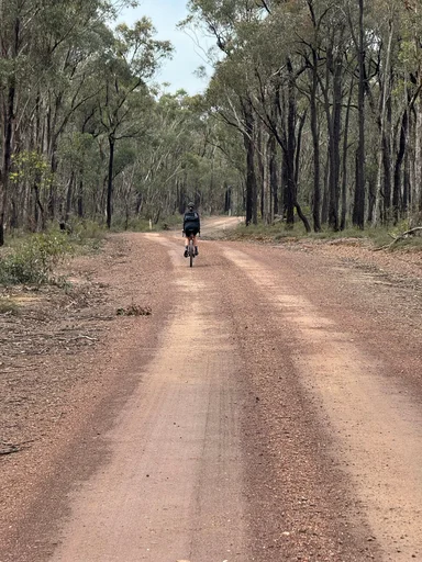 Heathcote State Forests Loop photo 10