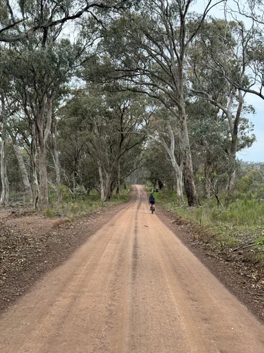 Heathcote State Forests Loop photo 8