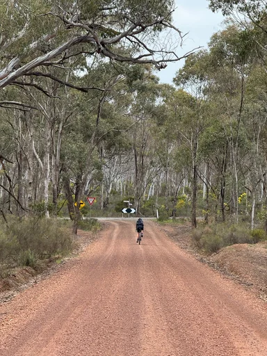 Heathcote State Forests Loop photo 7