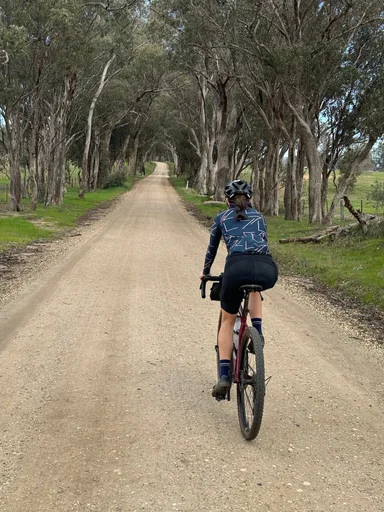 Heathcote State Forests Loop photo 6