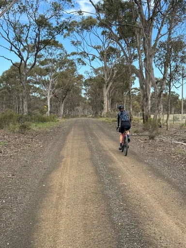 Heathcote State Forests Loop photo 5
