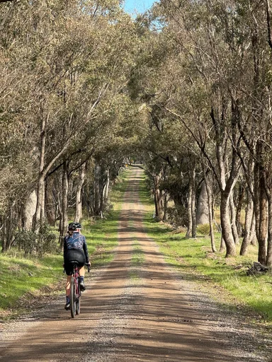 Heathcote State Forests Loop photo 4