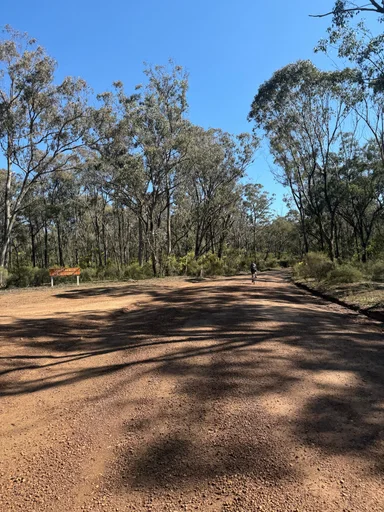 Heathcote State Forests Loop photo 3