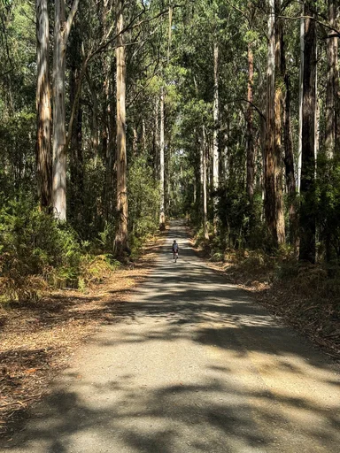 Roadknights Bridge Rd