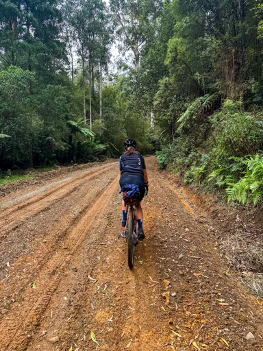 Young Creek Track