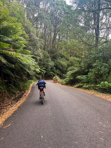 Turtons Track